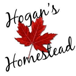 Hogan’s Homestead