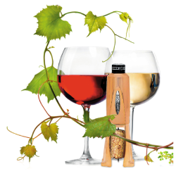 The Wine Stuff